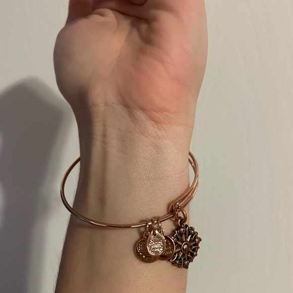 Alex and Ani Compass Bracelet - Picture 3 of 3